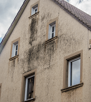 Taches d'humidité sur la façade d'une maison