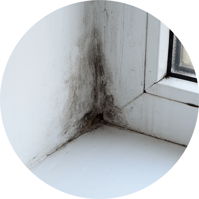 Humidité de l'air et moisissure sur le mur