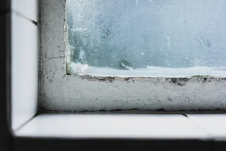 Condensation et moisissures sur vos fenêtres